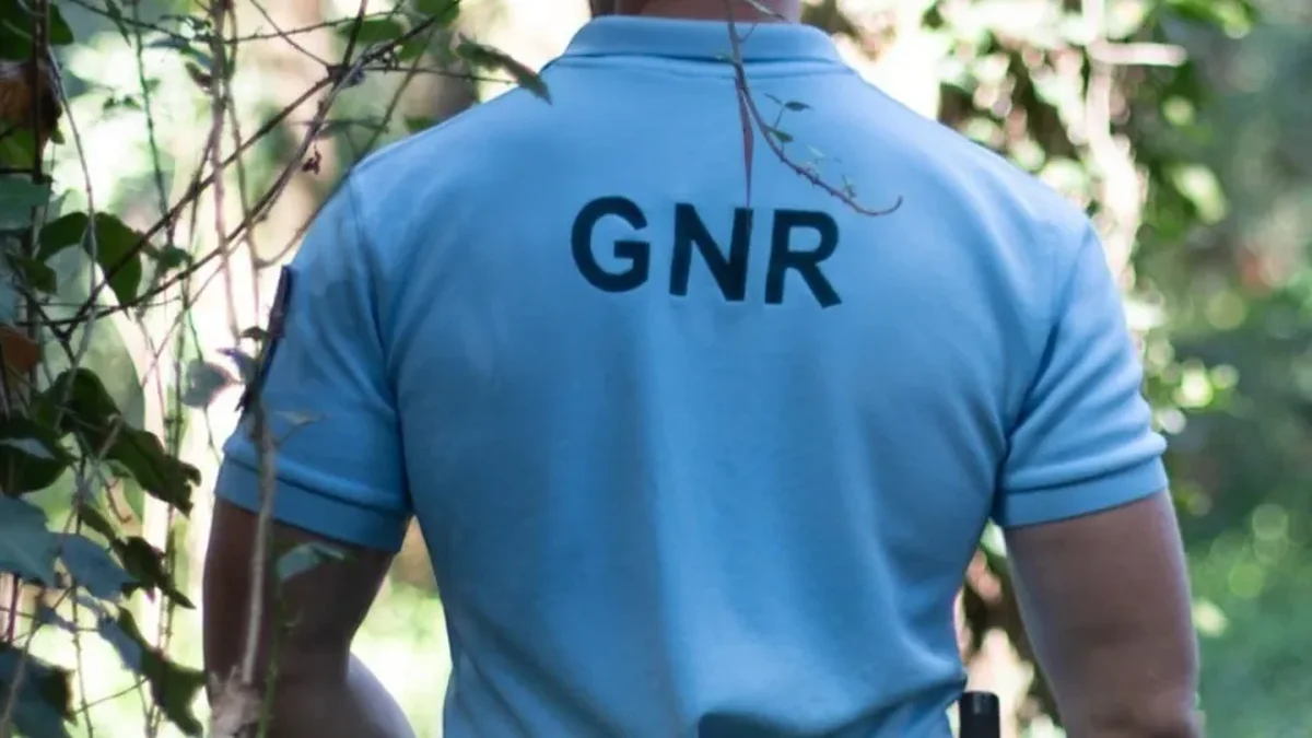 GNR, Moncarapacho’da Uyuşturucu Trafiği Operasyonunda 8 Şüpheliyi Gözaltına Aldı